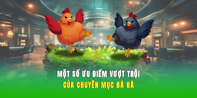 Một số ưu điểm vượt trội của chuyên mục đá gà