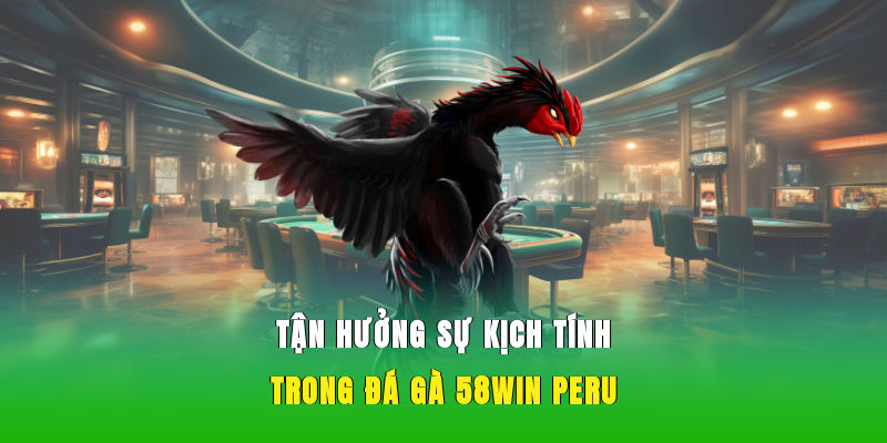 Tận hưởng sự kịch tính trong đá gà 58WIN Peru